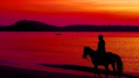 Phuket Horse Riding