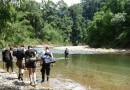 Jungle Trekking