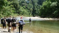 Phuket Jungle Trekking