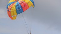 IMG_1954